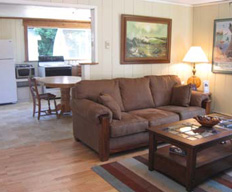 Living room with kitchen in the background.